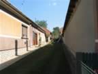 Homrogd030926 108.jpg (68kb)